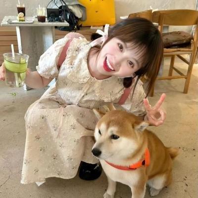 春满凤城